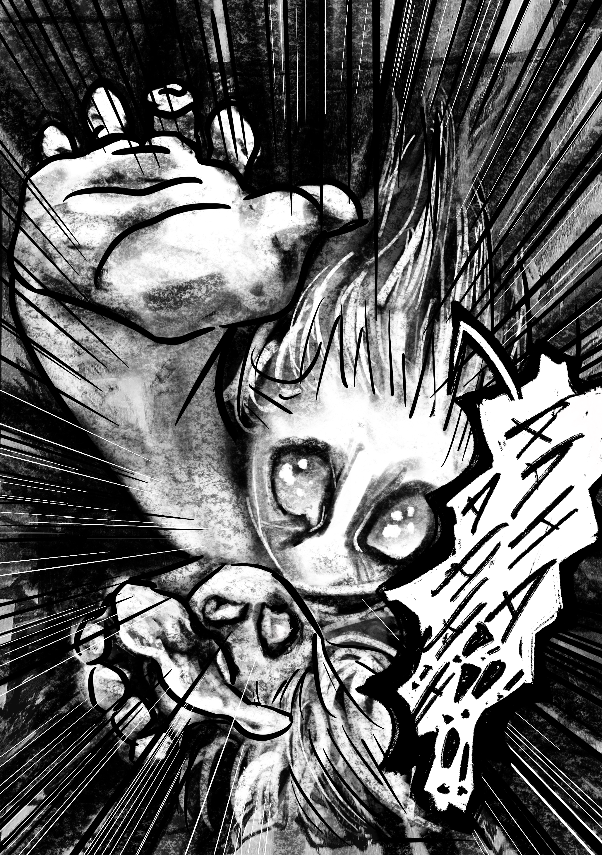 Corona Collection 37