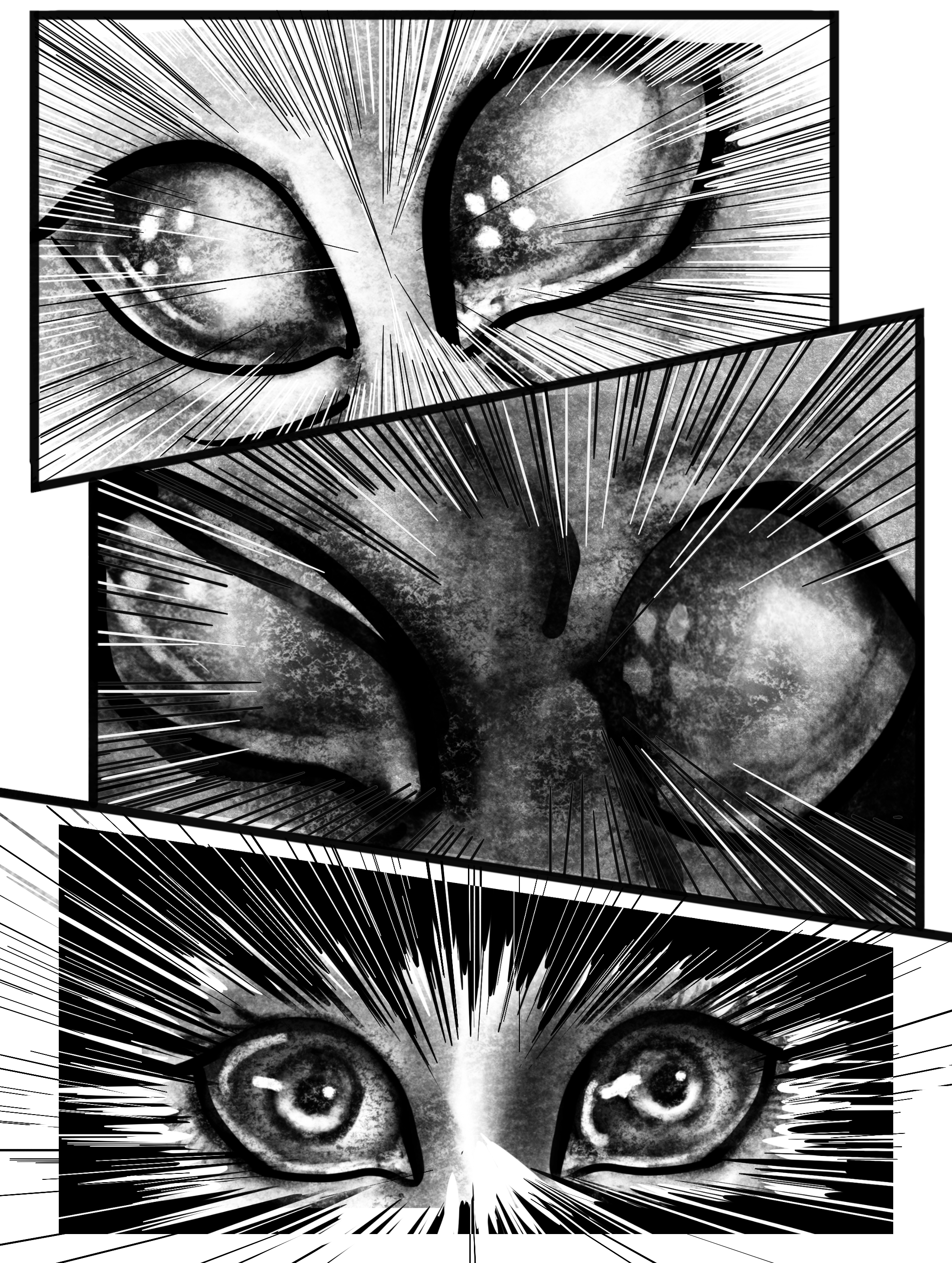 Corona Collection 38